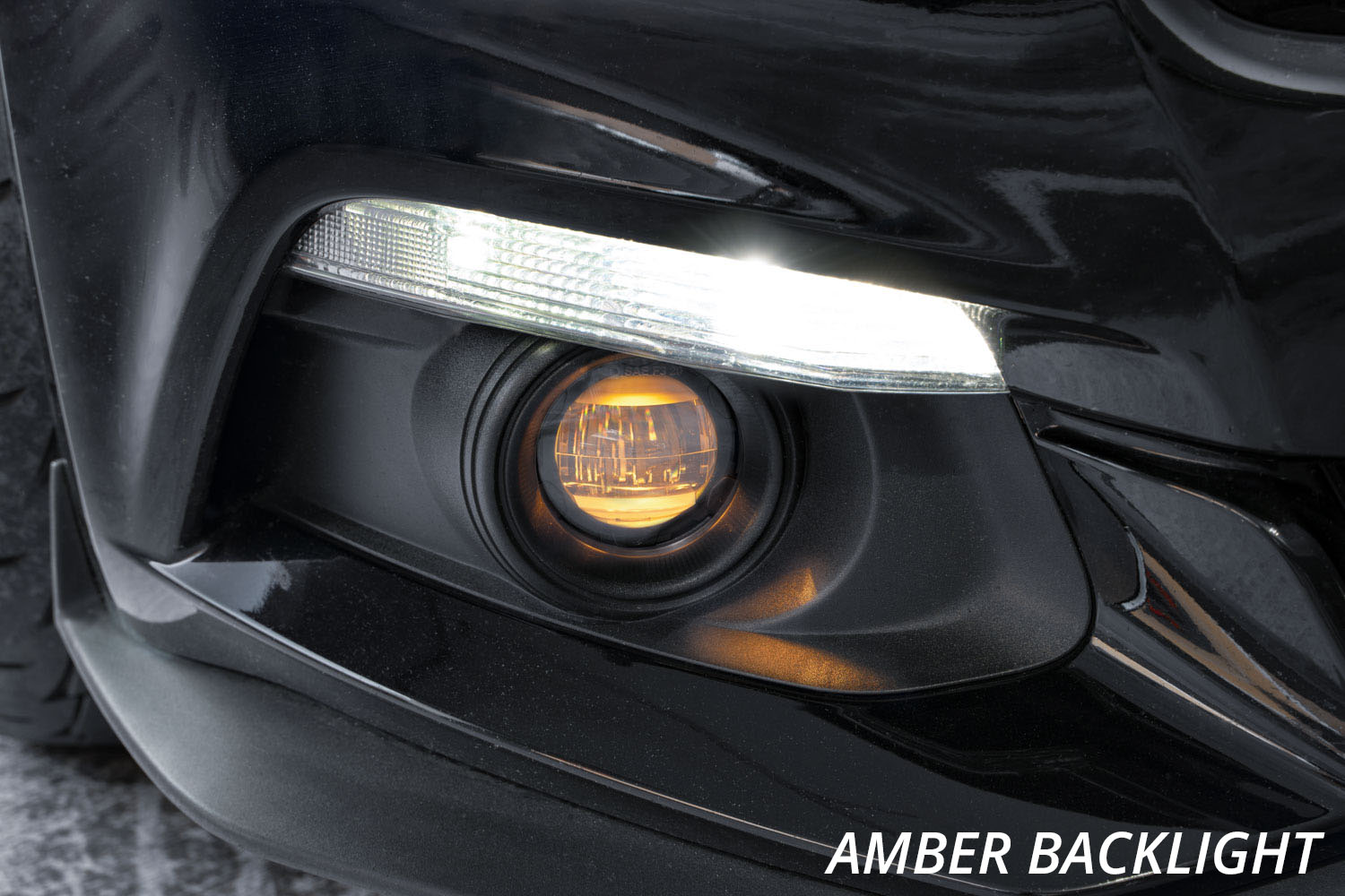 Elite Series LED Fog Light Amber Backlight